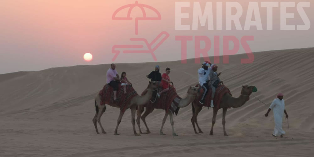 Dubai Desert Safari | Sunrise Safari | Desert Safari Dubai | Morning Safari Dubai | Evening Safari Dubai  |  Overnight Safari Dubai  | Desert safari Bab Al Shams 